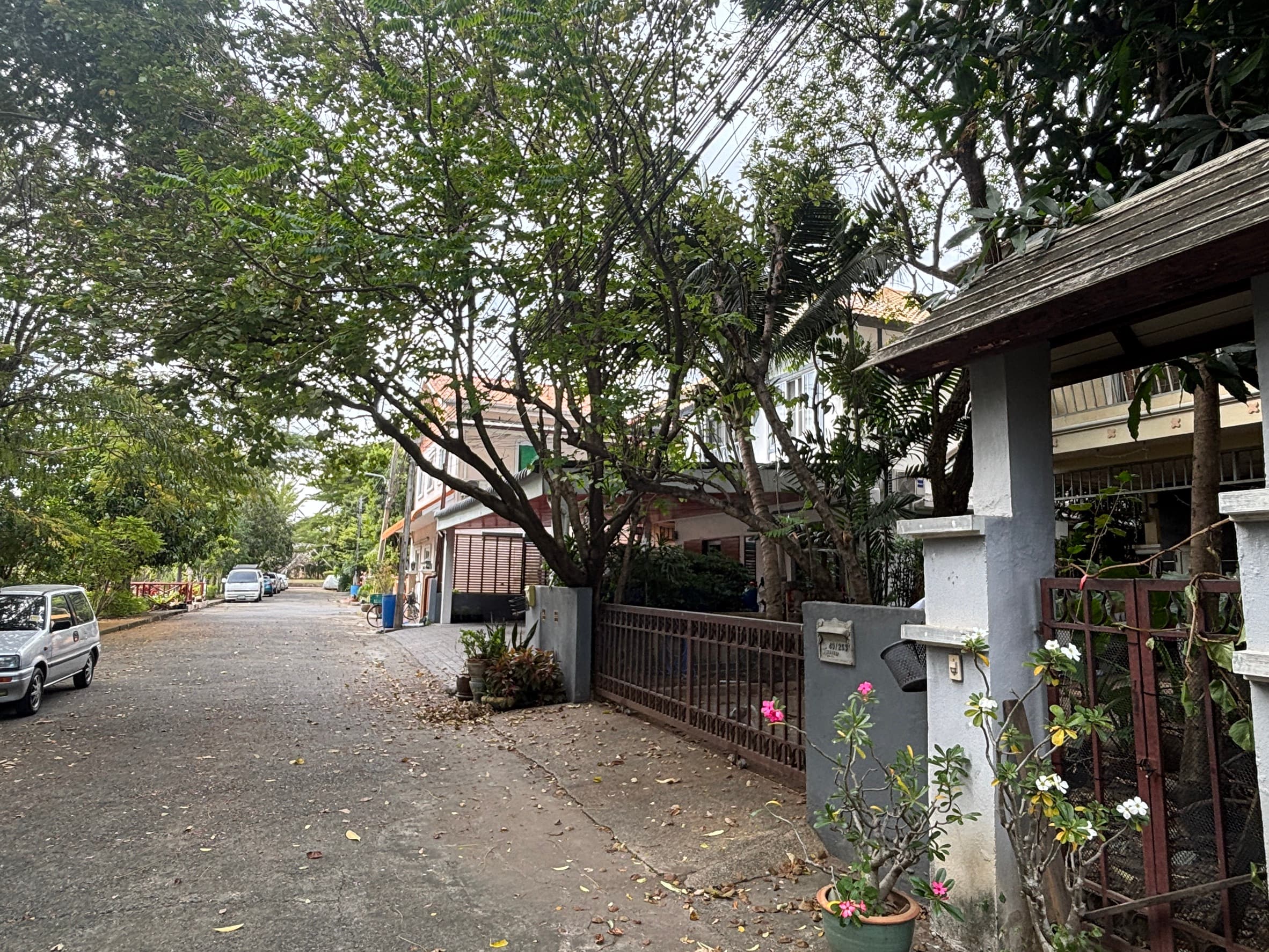 S__120397829.jpg