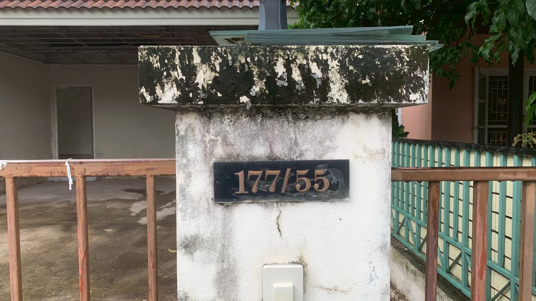 1752035984569.jpg