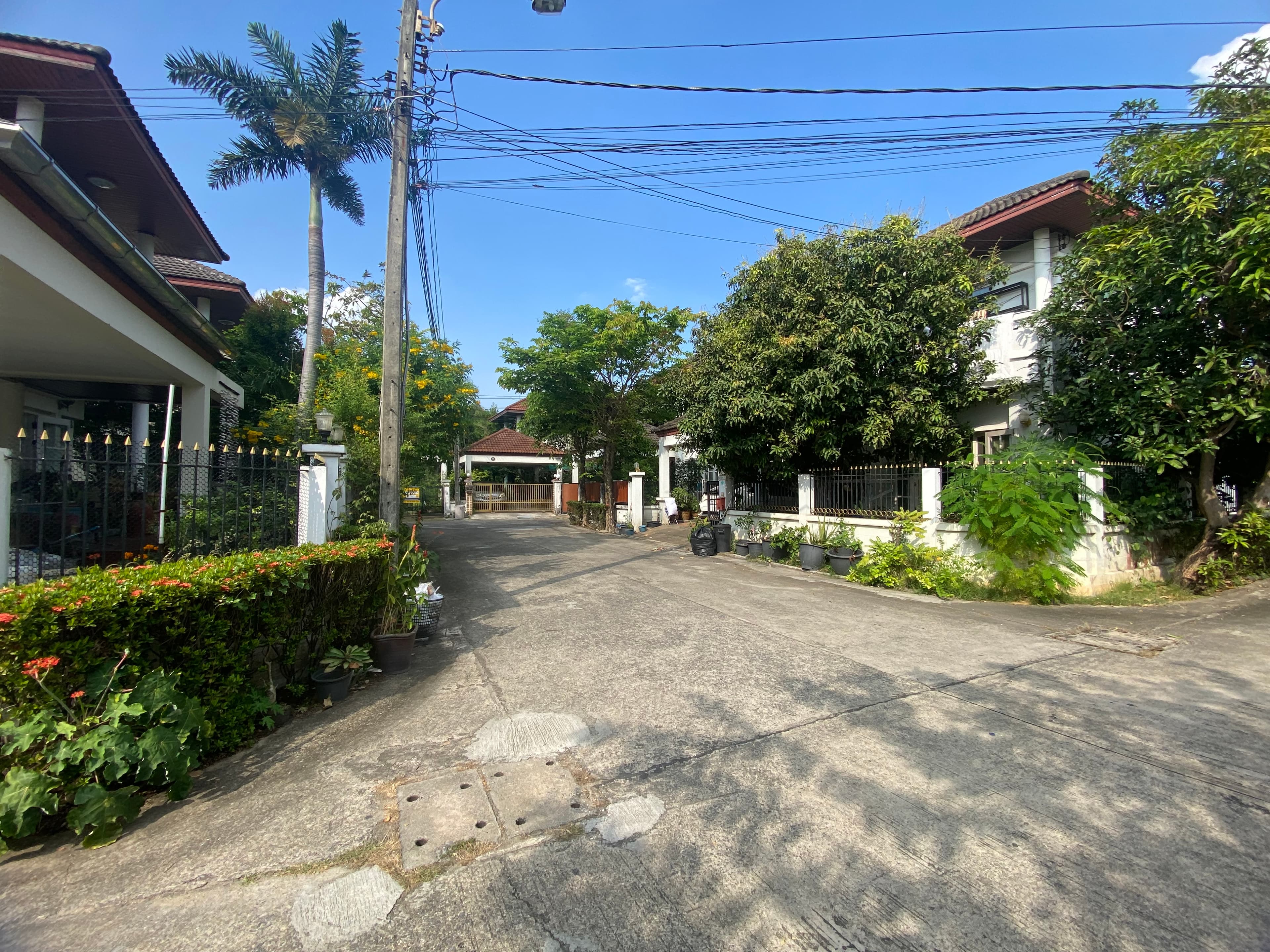 DNBKKSH0125 (22).JPG