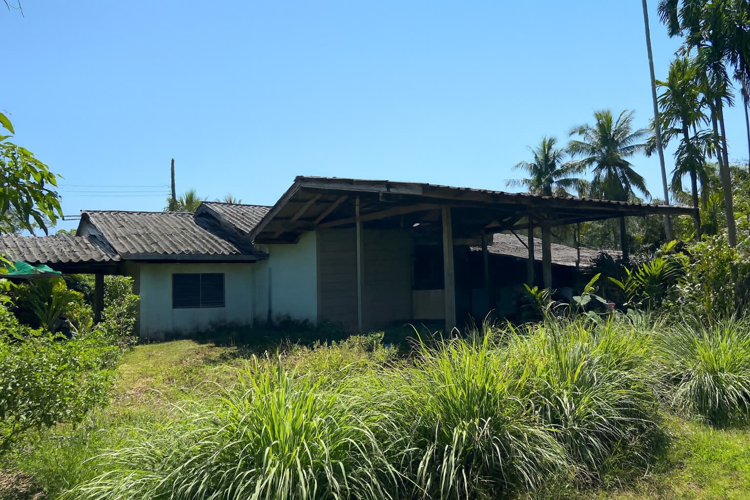 43d1266c-52293-7.jpg