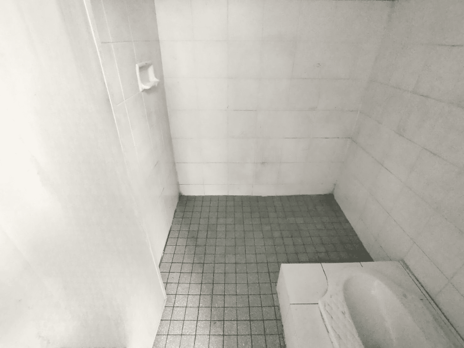 image (15).png
