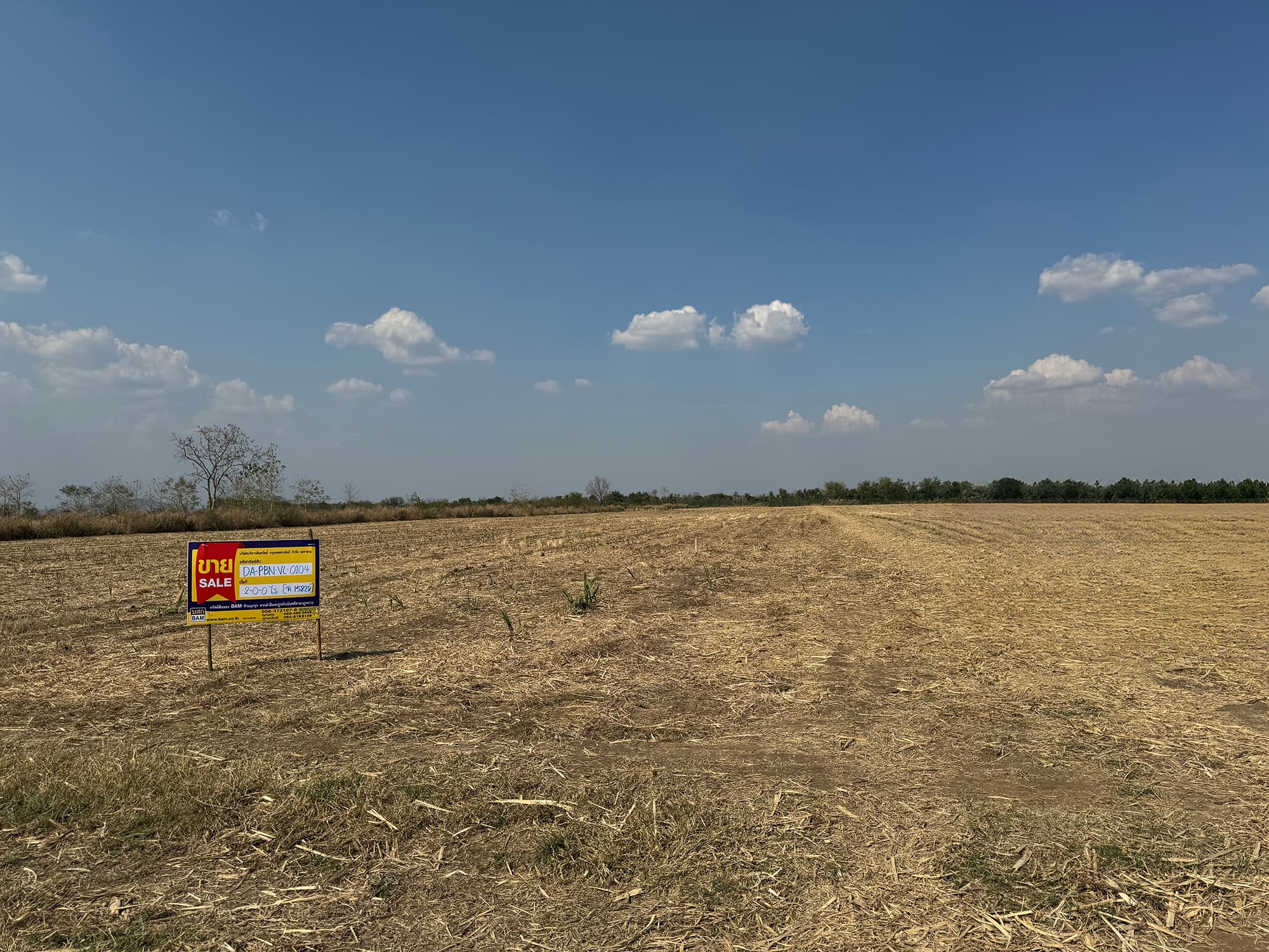 6a598980-29388-1.jpg