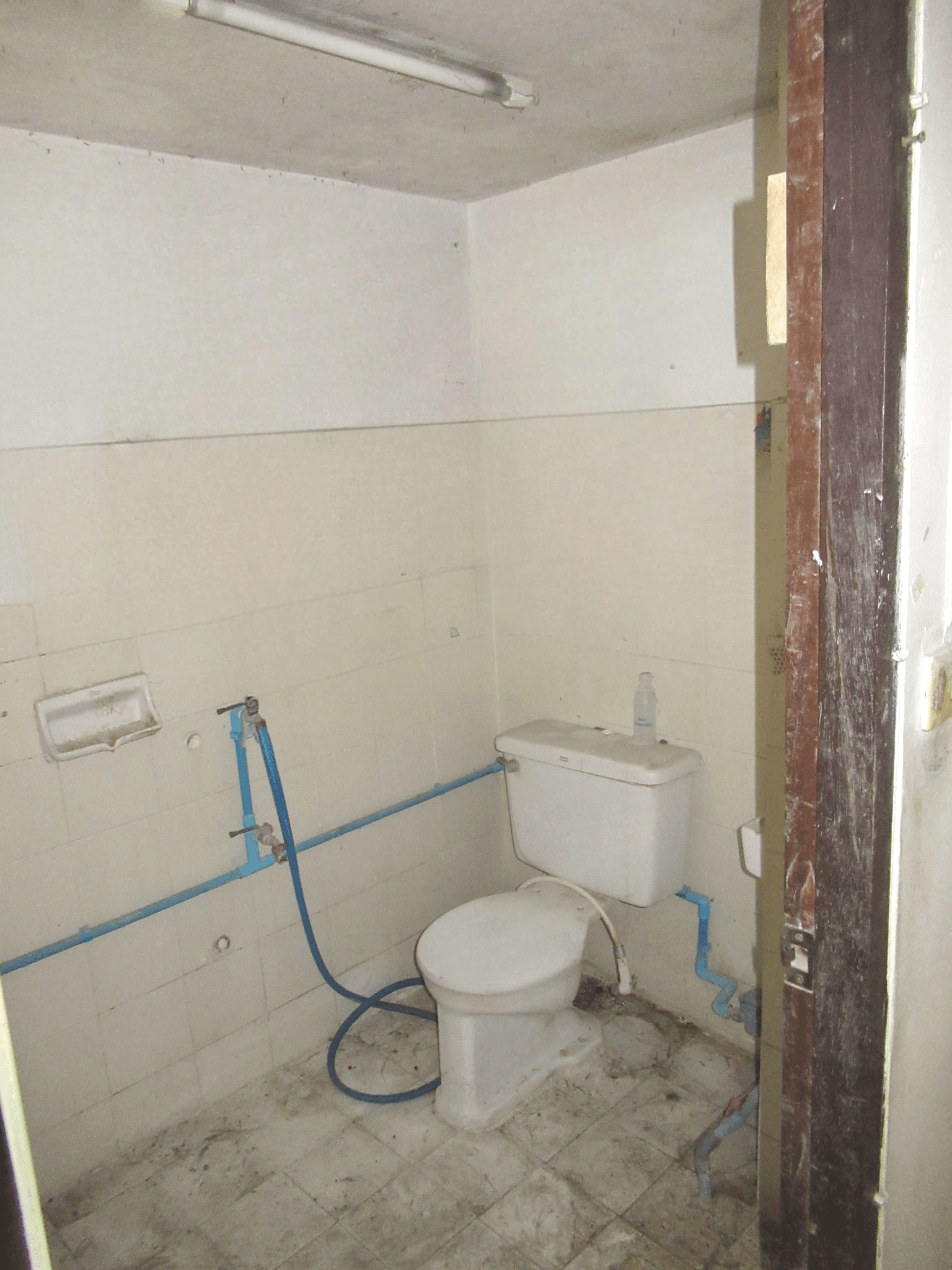 image (11).png