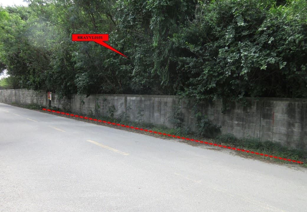 สไลด์3.JPG