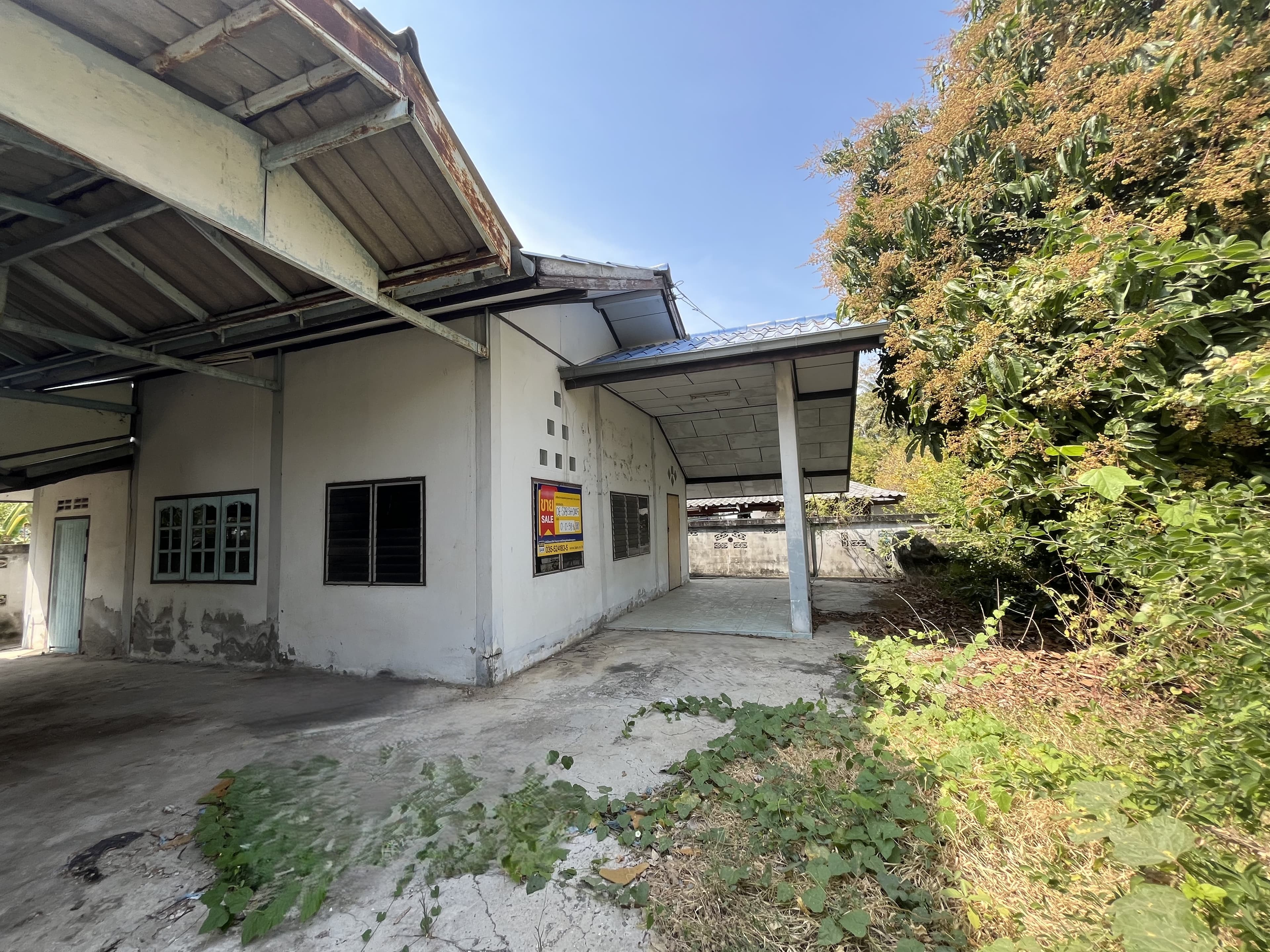 sh0145.jpg