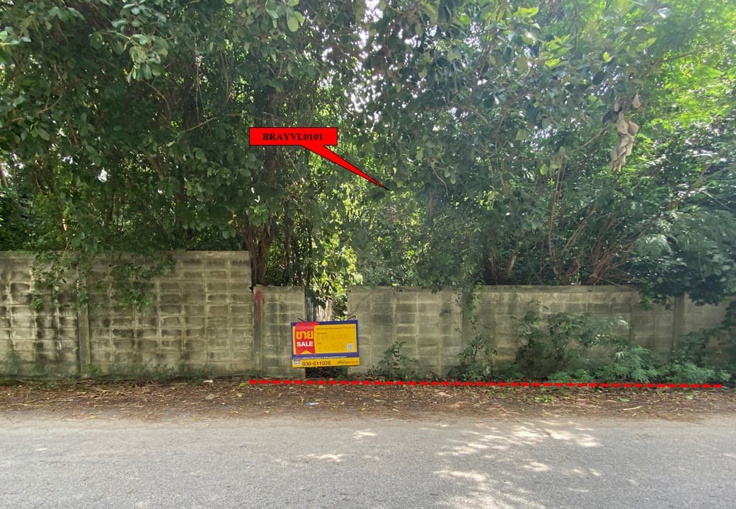 สไลด์2.JPG