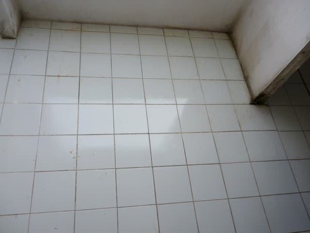 full_20180226095011.jpg