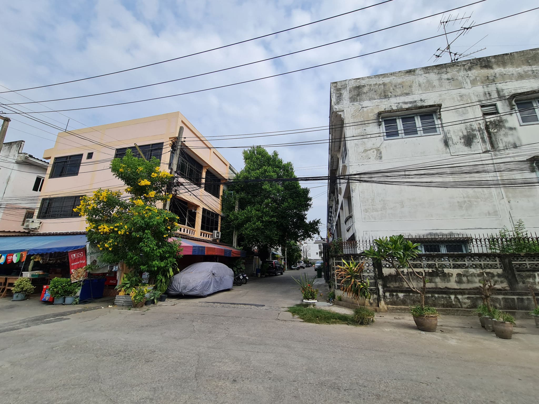 49cb2c19-20230522_154611.jpg