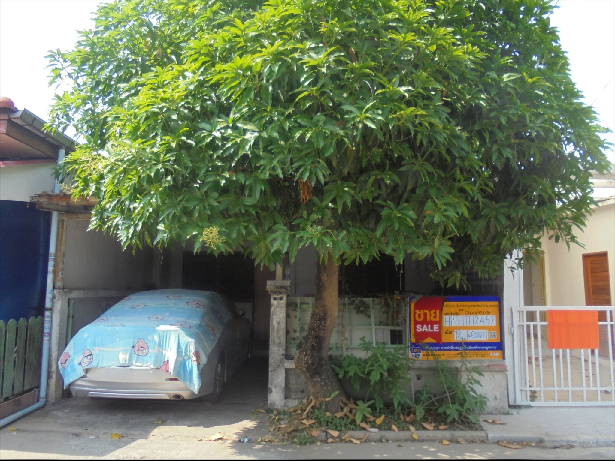 freepik_2794972717.png