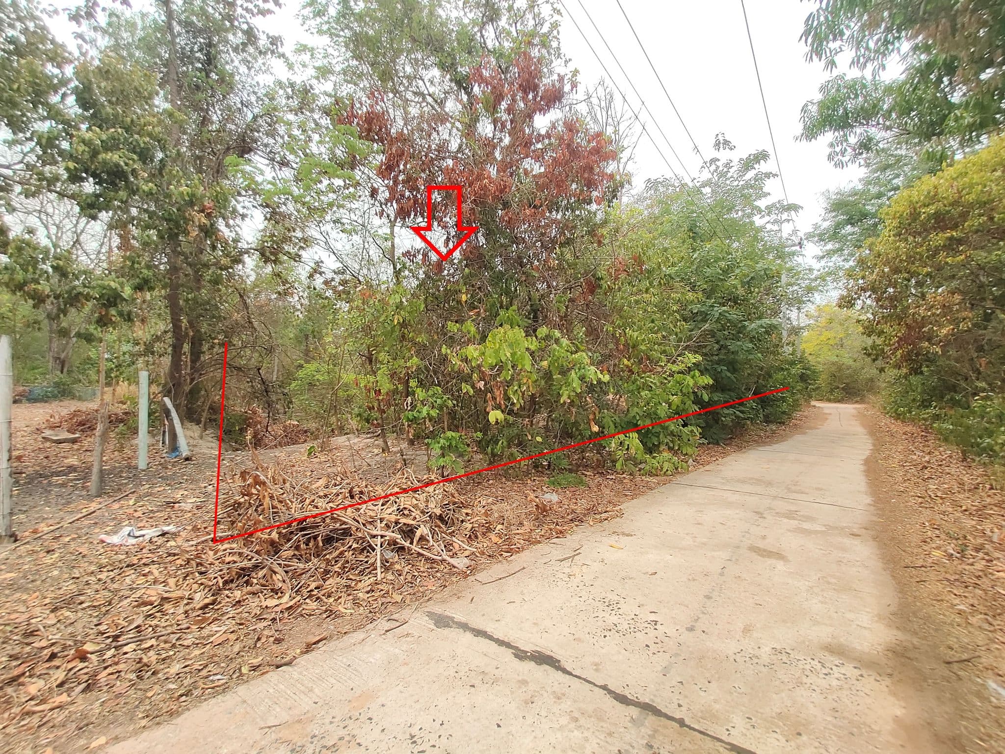 Picture10.jpg