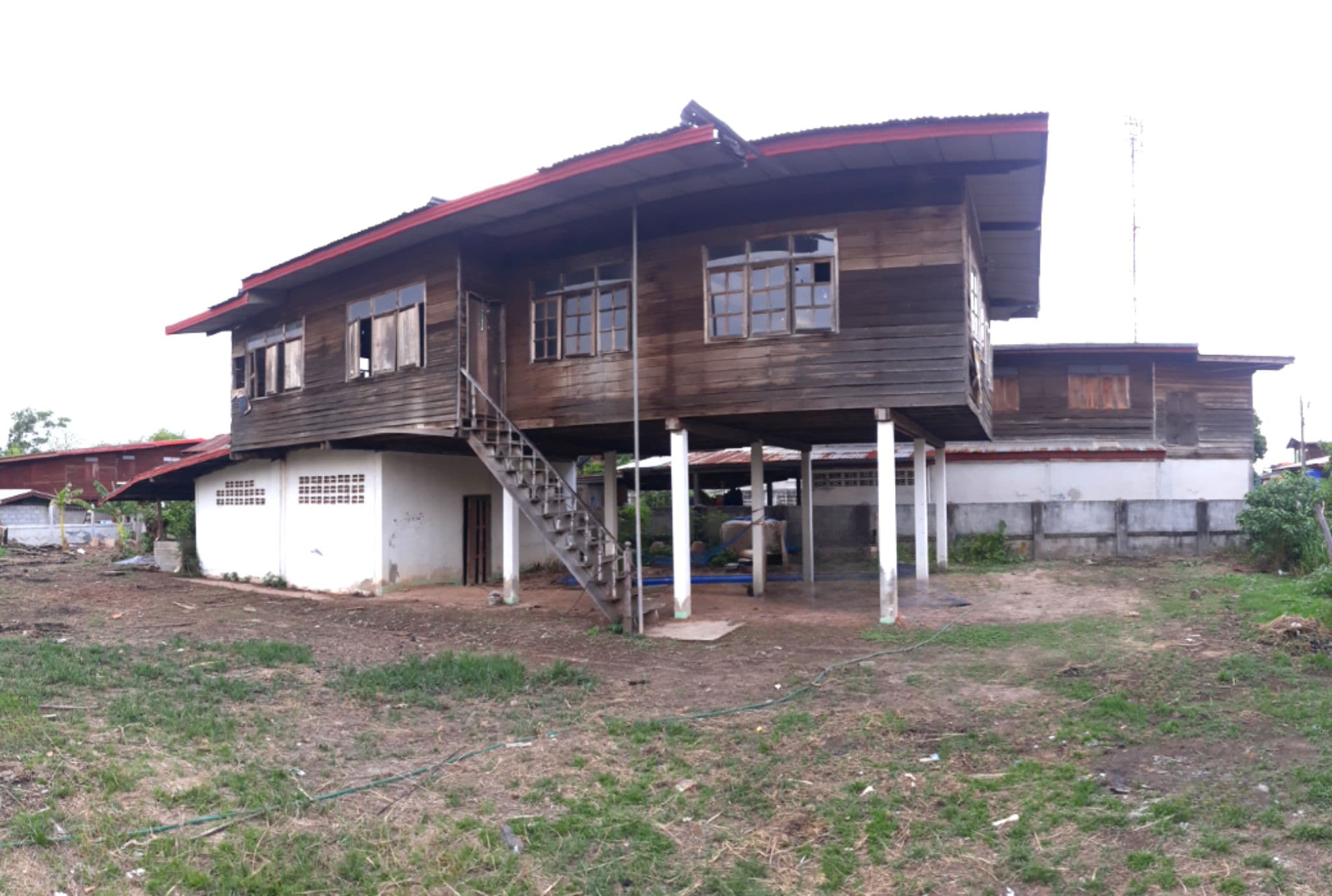 Canva Bamm (91).png