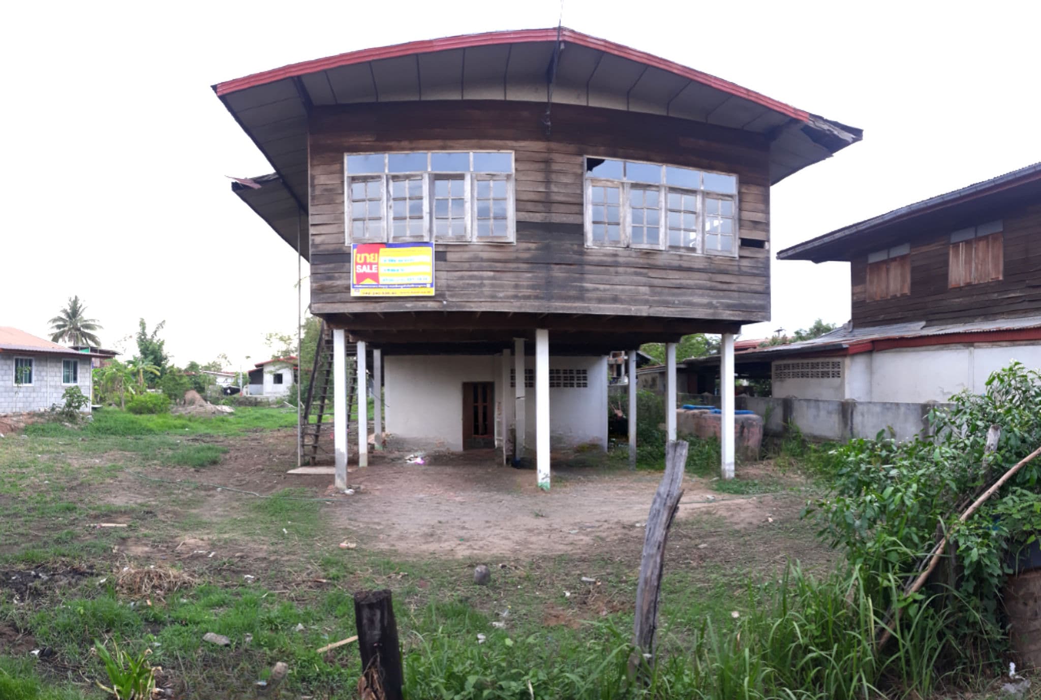 Canva Bamm (89).png