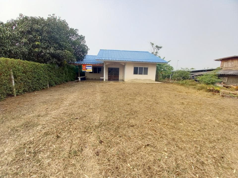 ff19ec7b-1679968880593.jpg