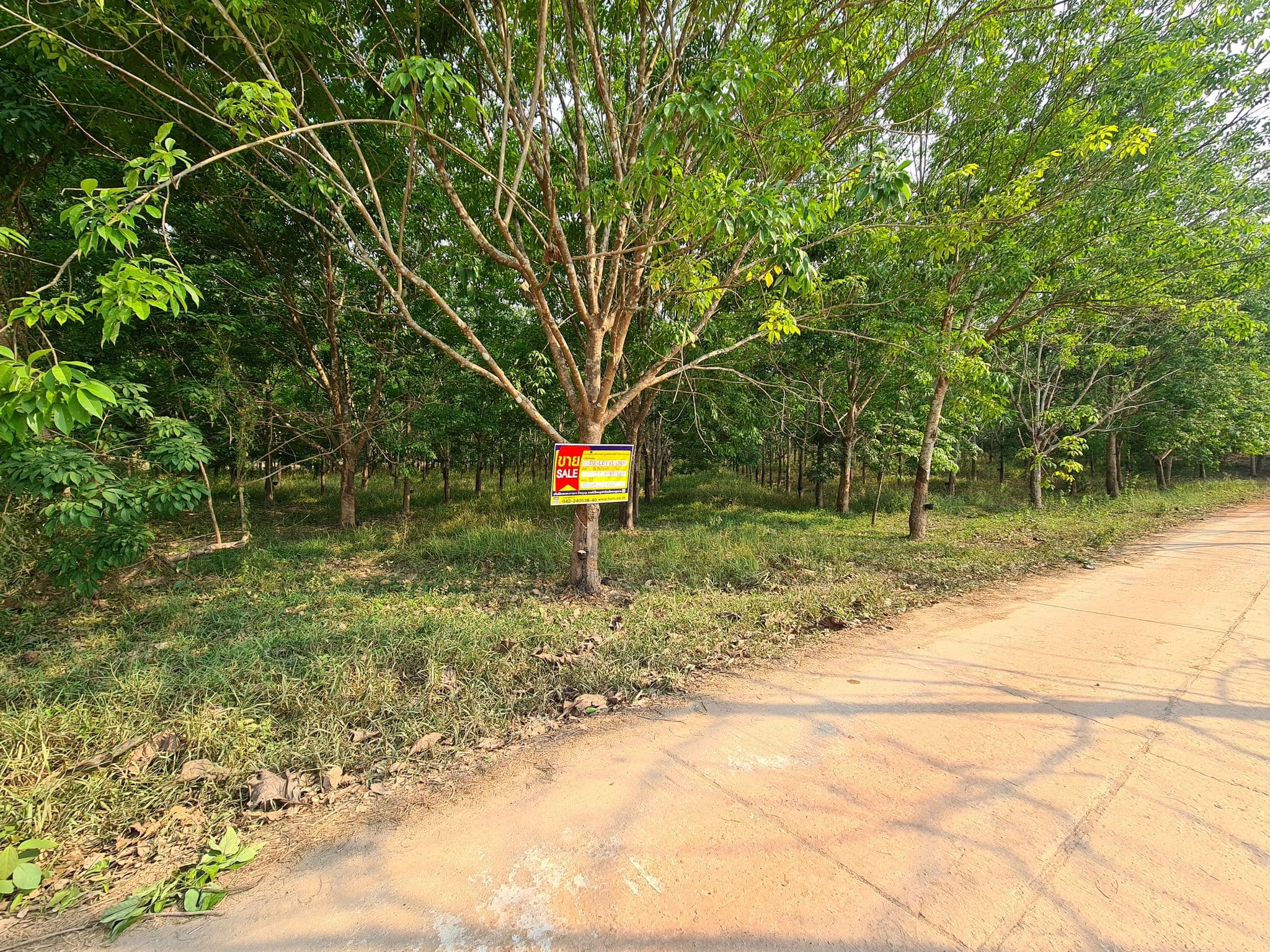 20230404_153305.jpg