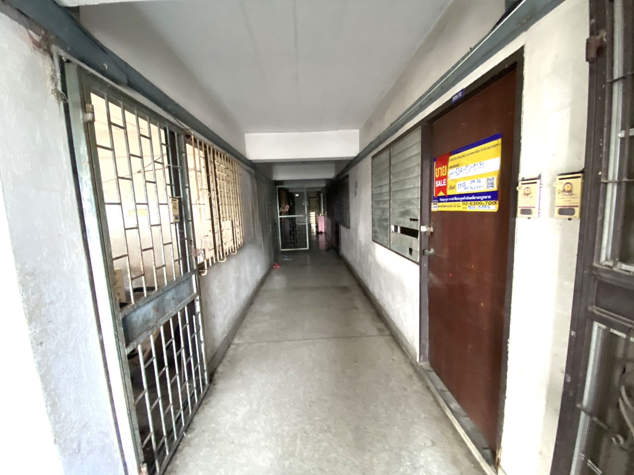 image (11).png