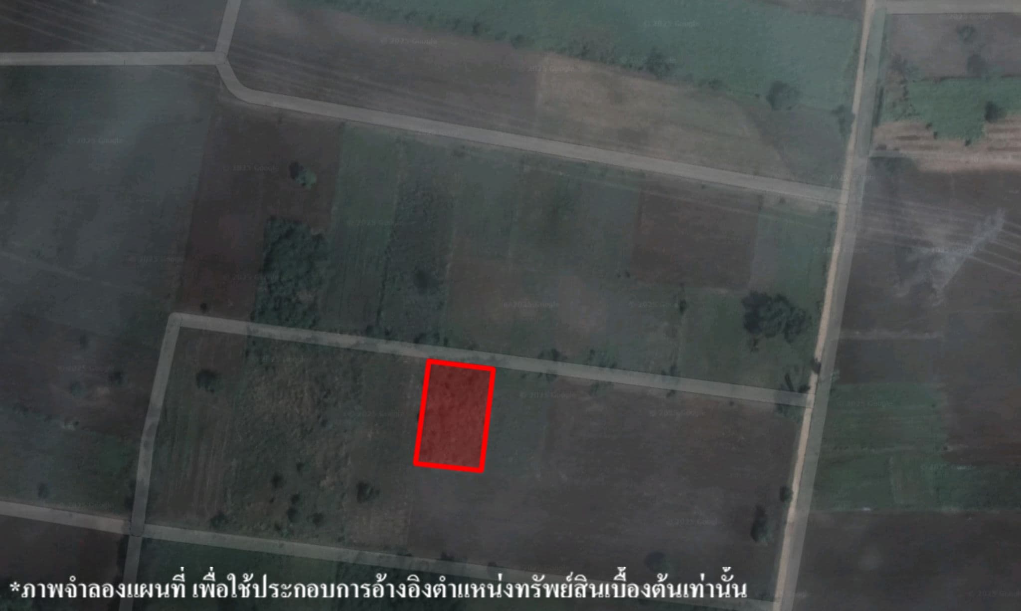 image (397).png