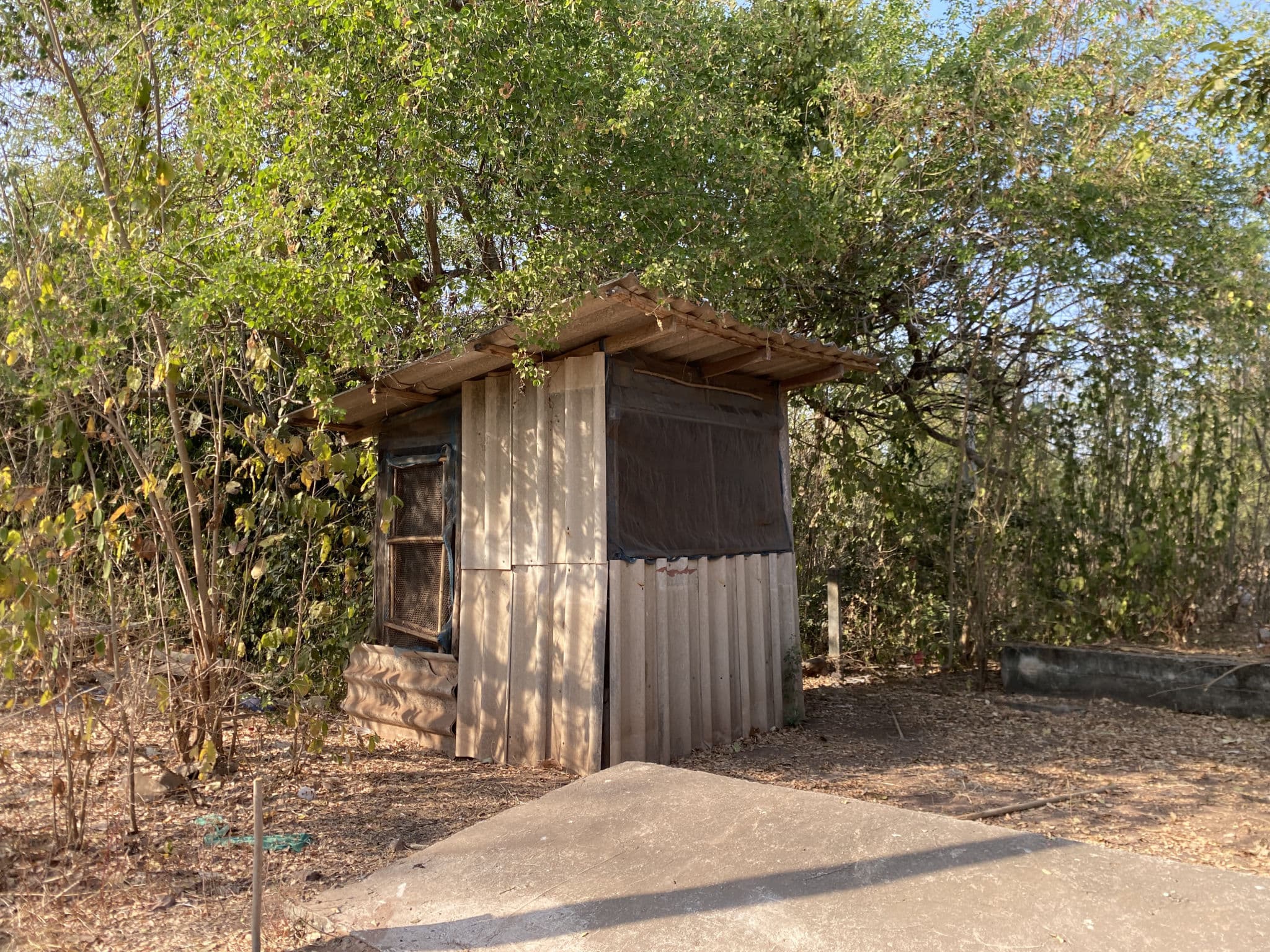 e0e89f82-132660-1.jpg