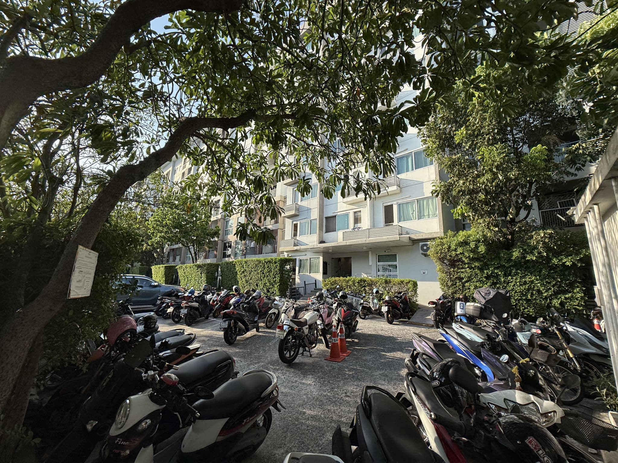 สภาพแวดล้อม (3).JPG