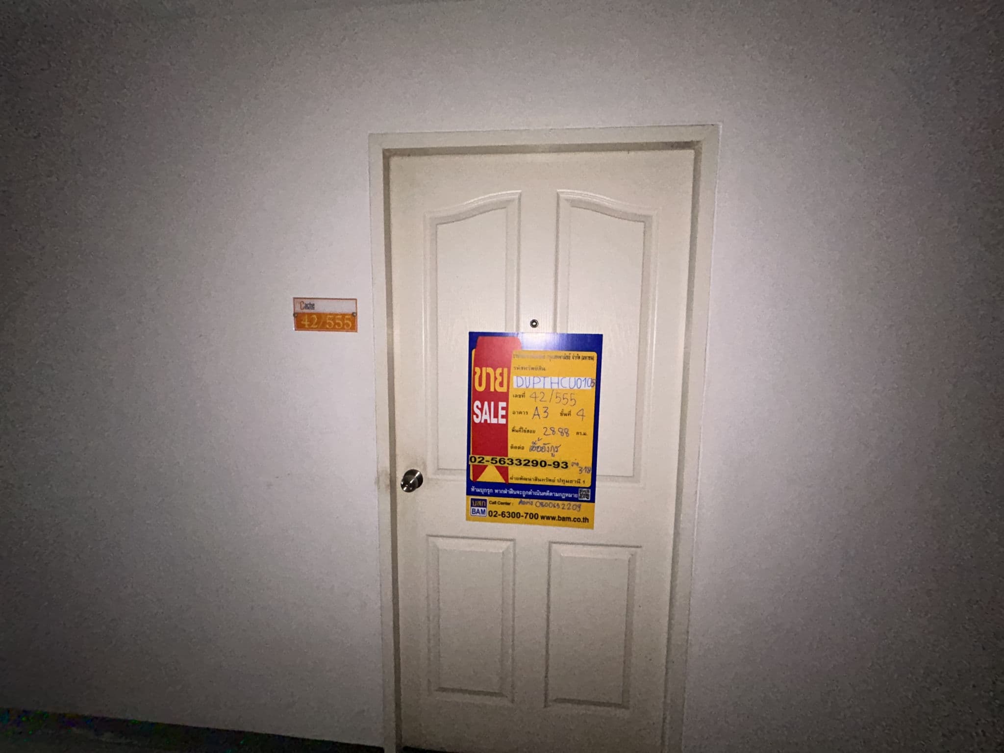 IMG_5561.jpeg