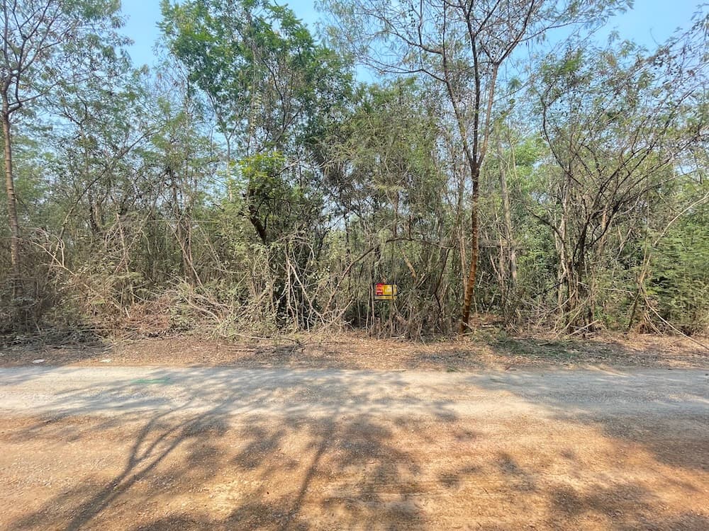 94949798-IMG_8905.JPG
