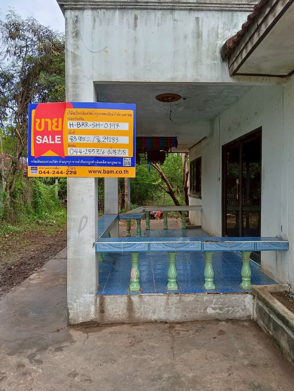 RHOM3254.JPEG