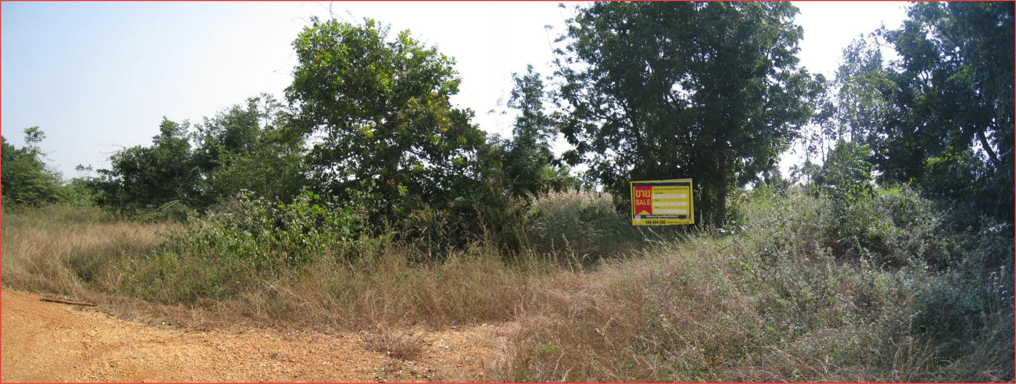 Picture2.jpg