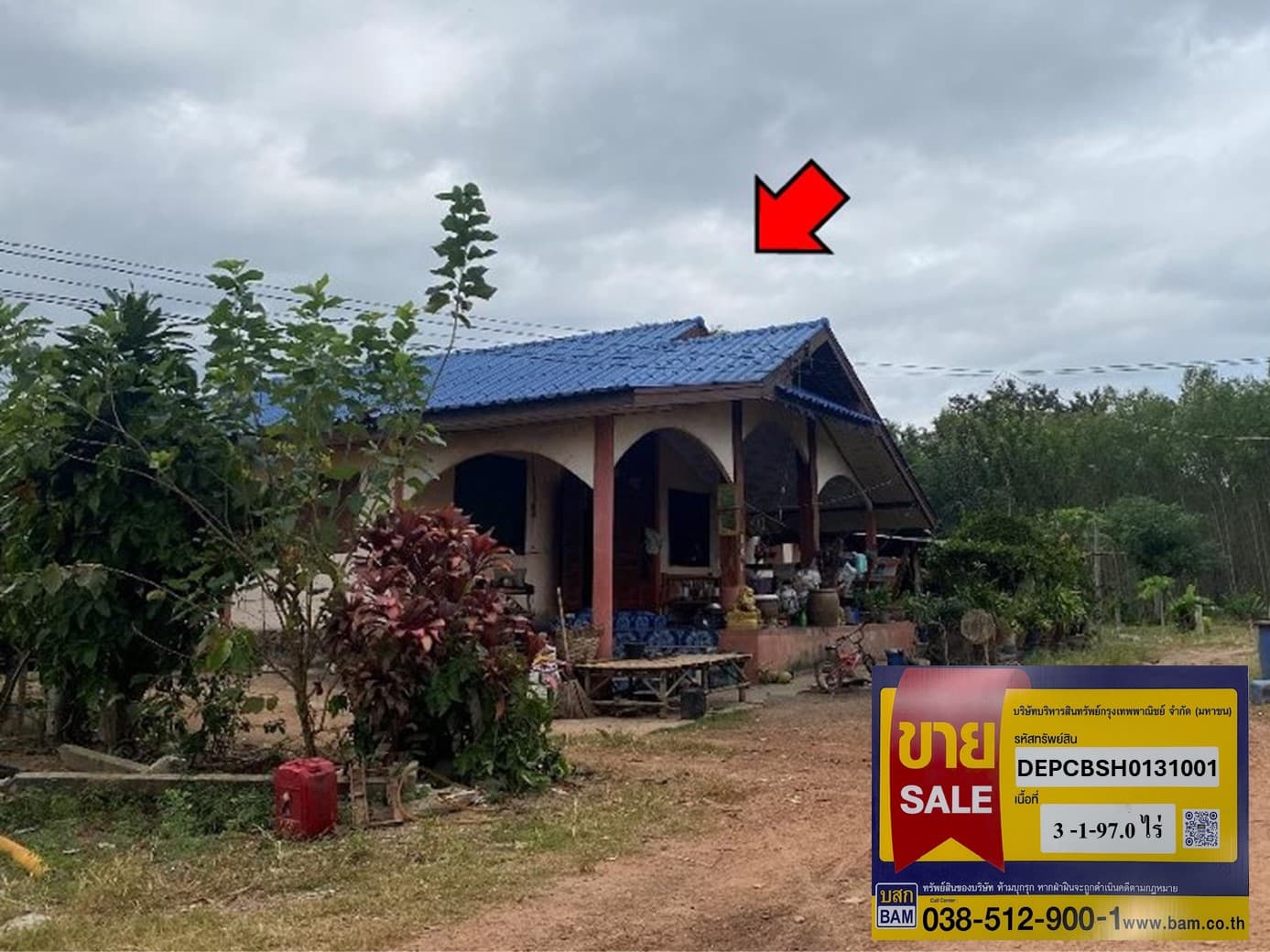 à¸à¹à¸²à¸¢.jpg