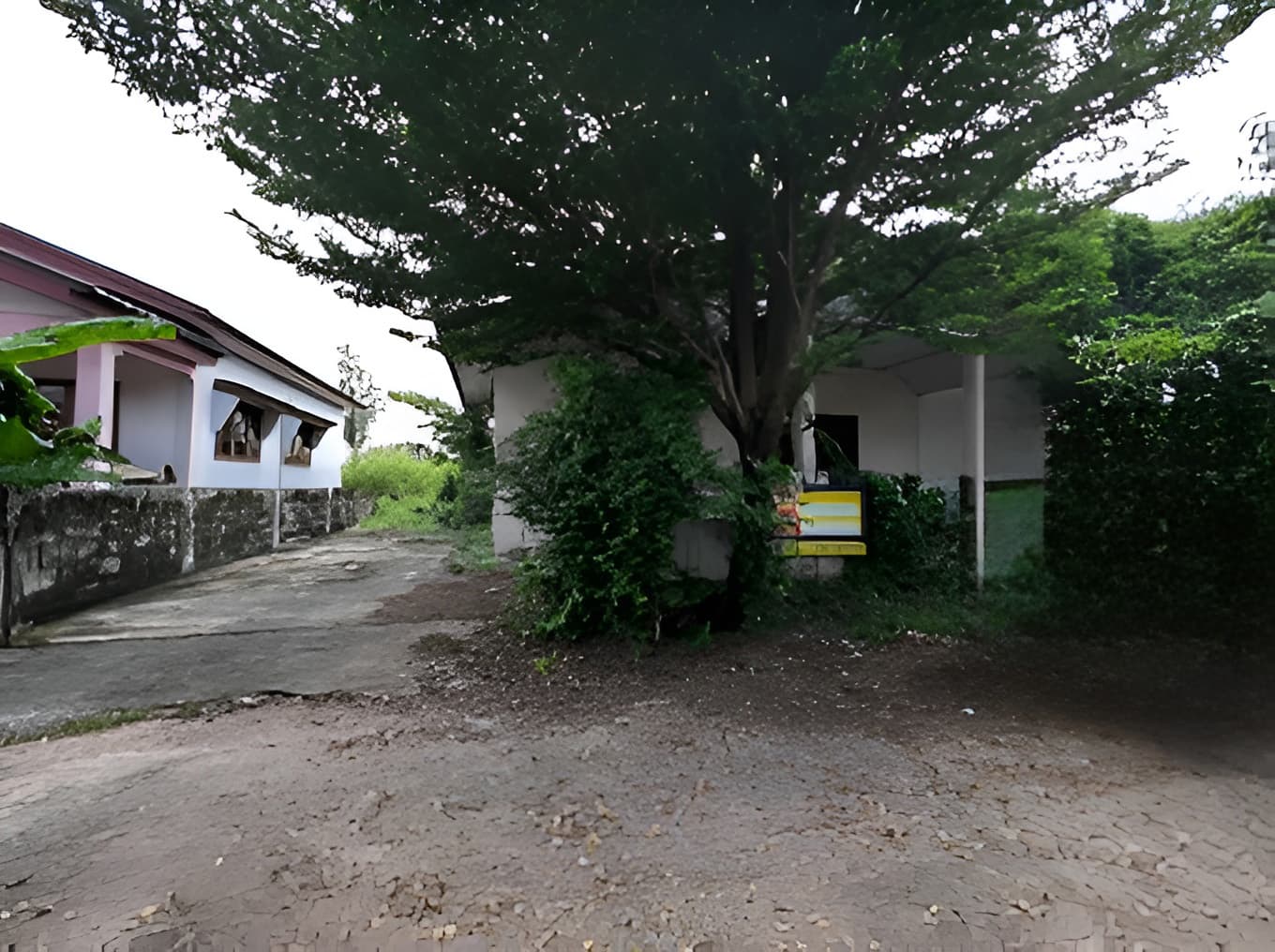 978995de.jpg