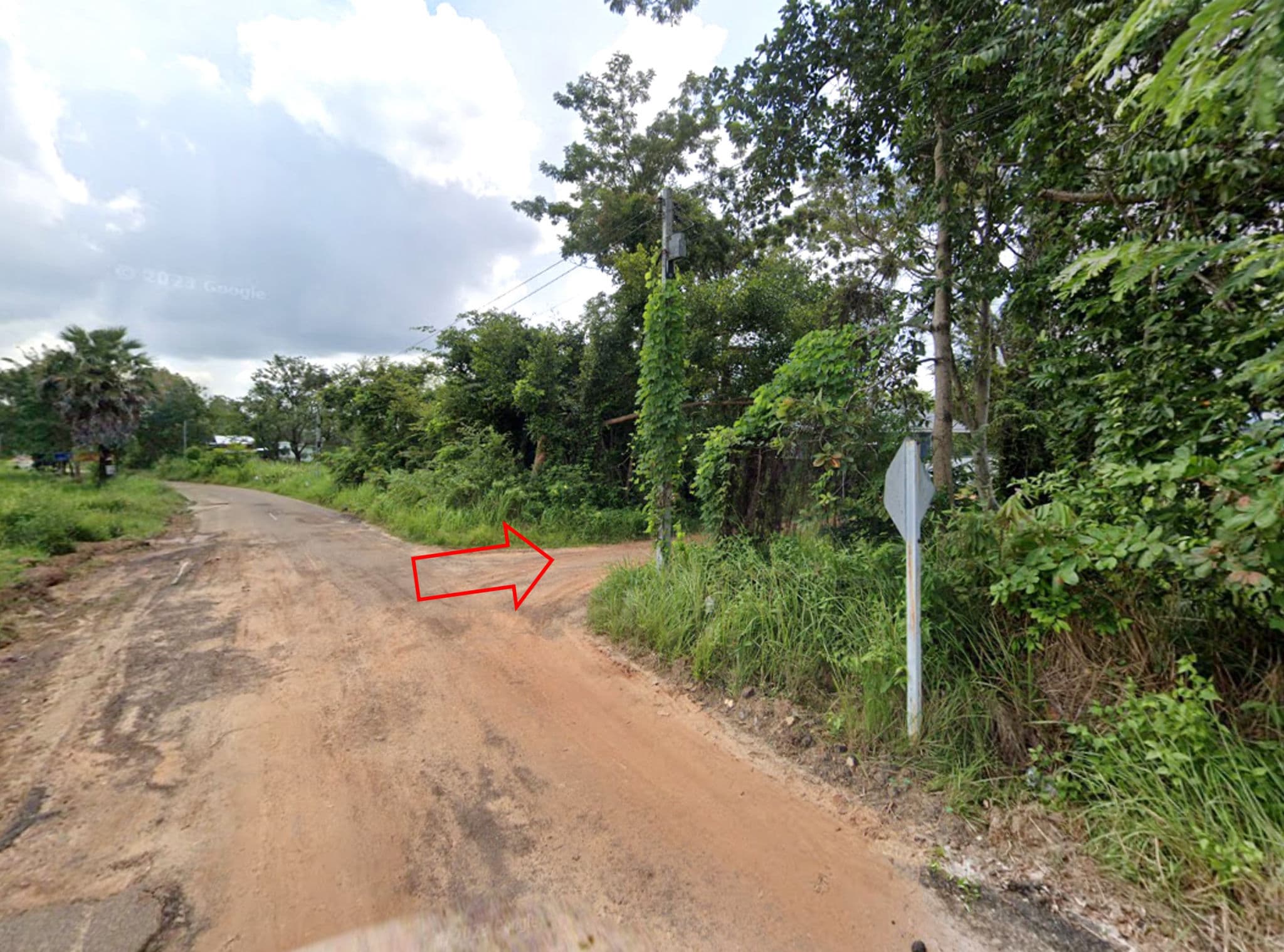 Picture3.jpg