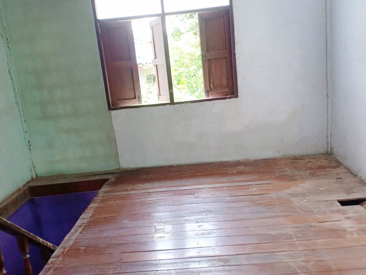 S__56115320.jpg