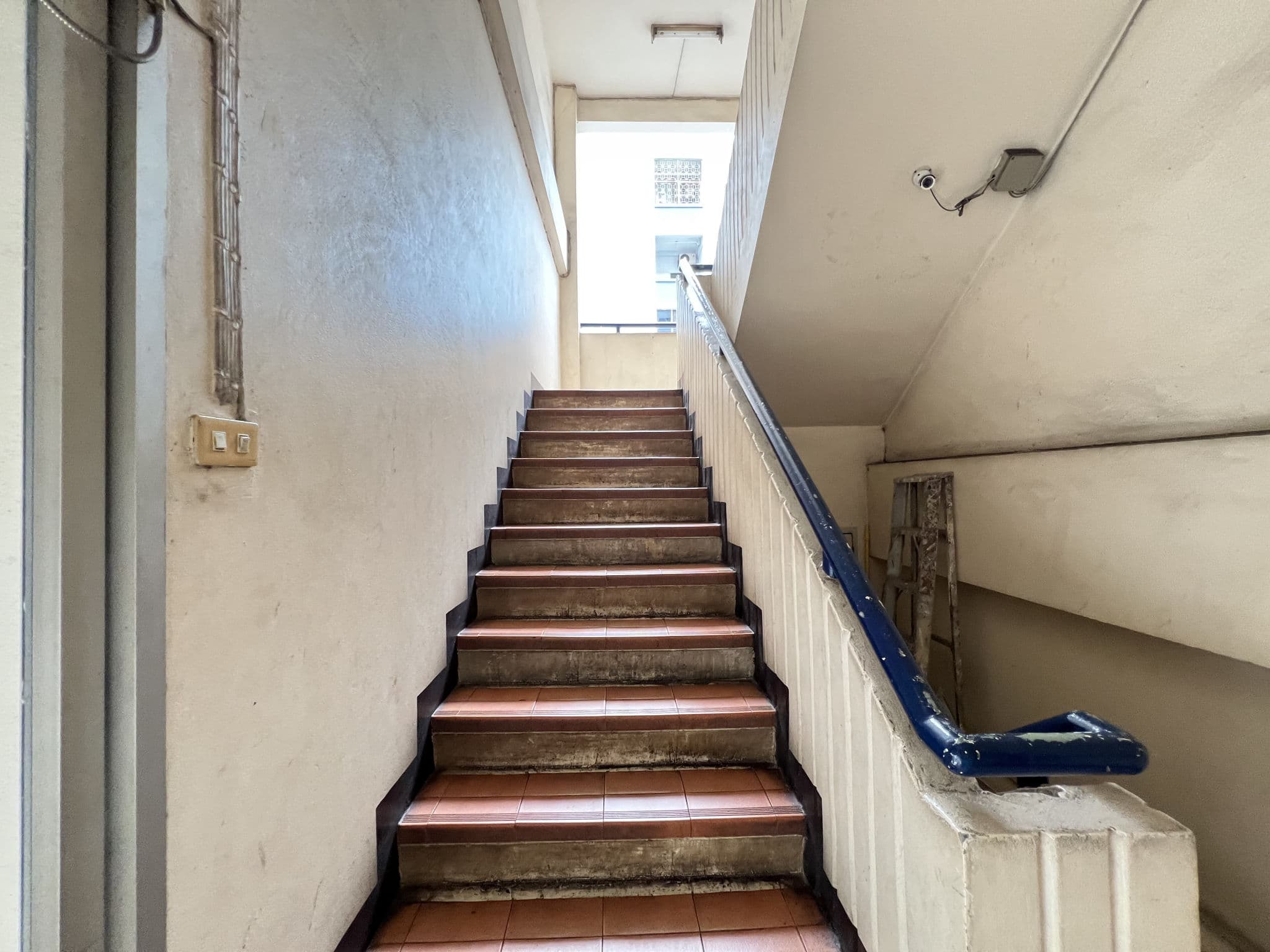 IMG_2981.JPG