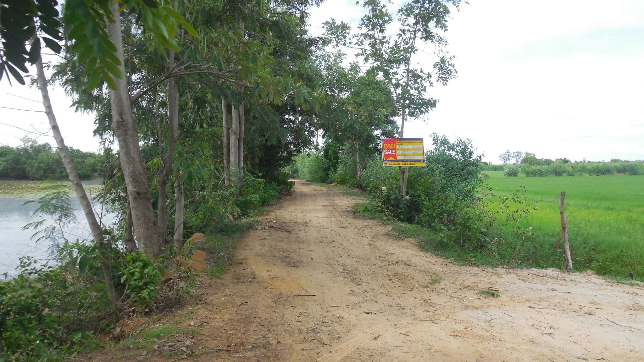DSCN7815.JPG