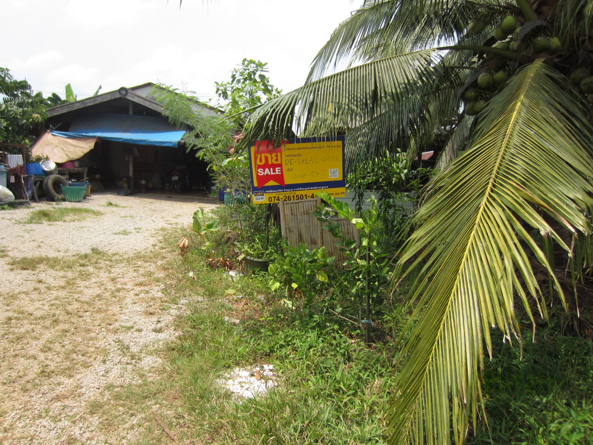 02e64d18-IMG_8172 (1).jpg