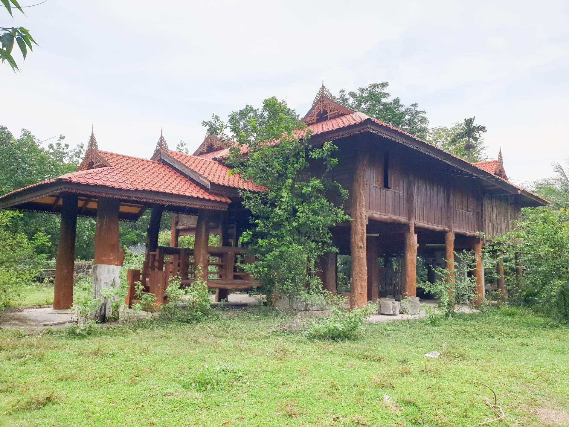 f24c563e-Picture10.jpg