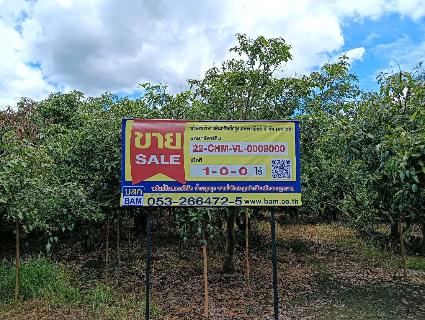 ASSET_SALE_BANNER.jpg