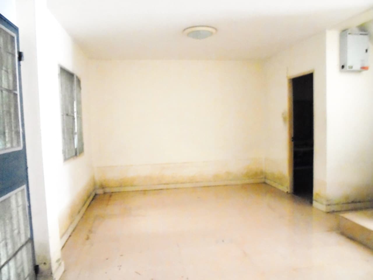 full_20200615091135.jpg