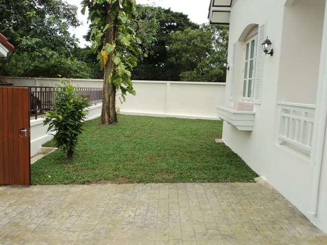 full_20120202162523.jpeg