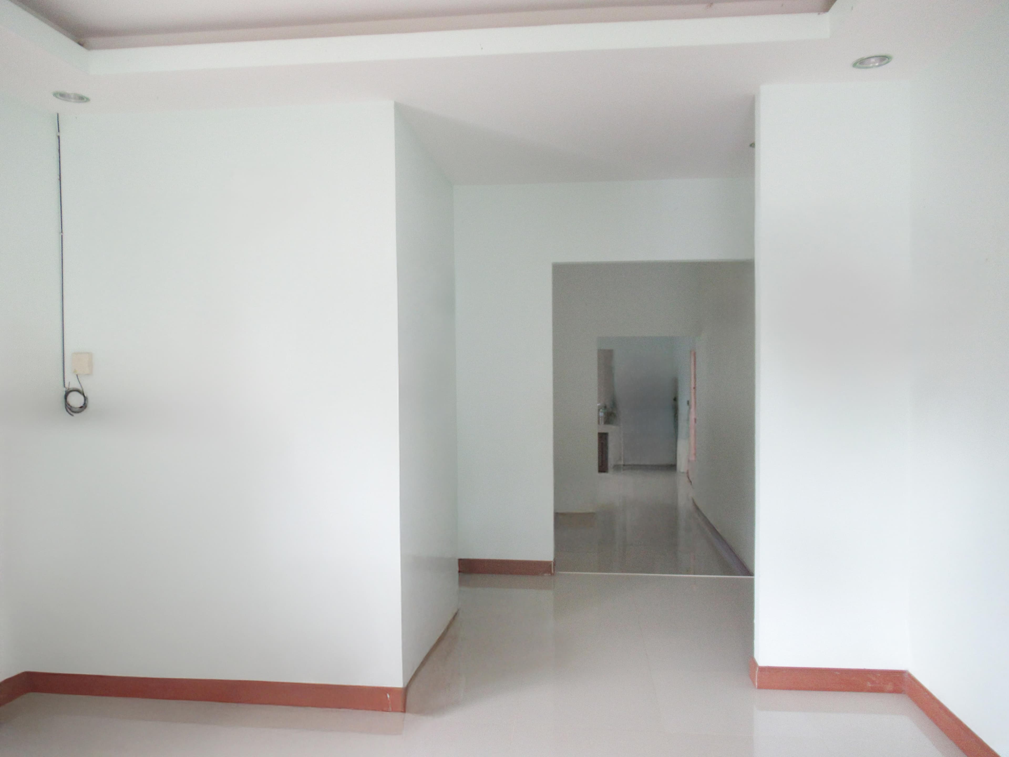 5ea71c9a-143159-0.jpg