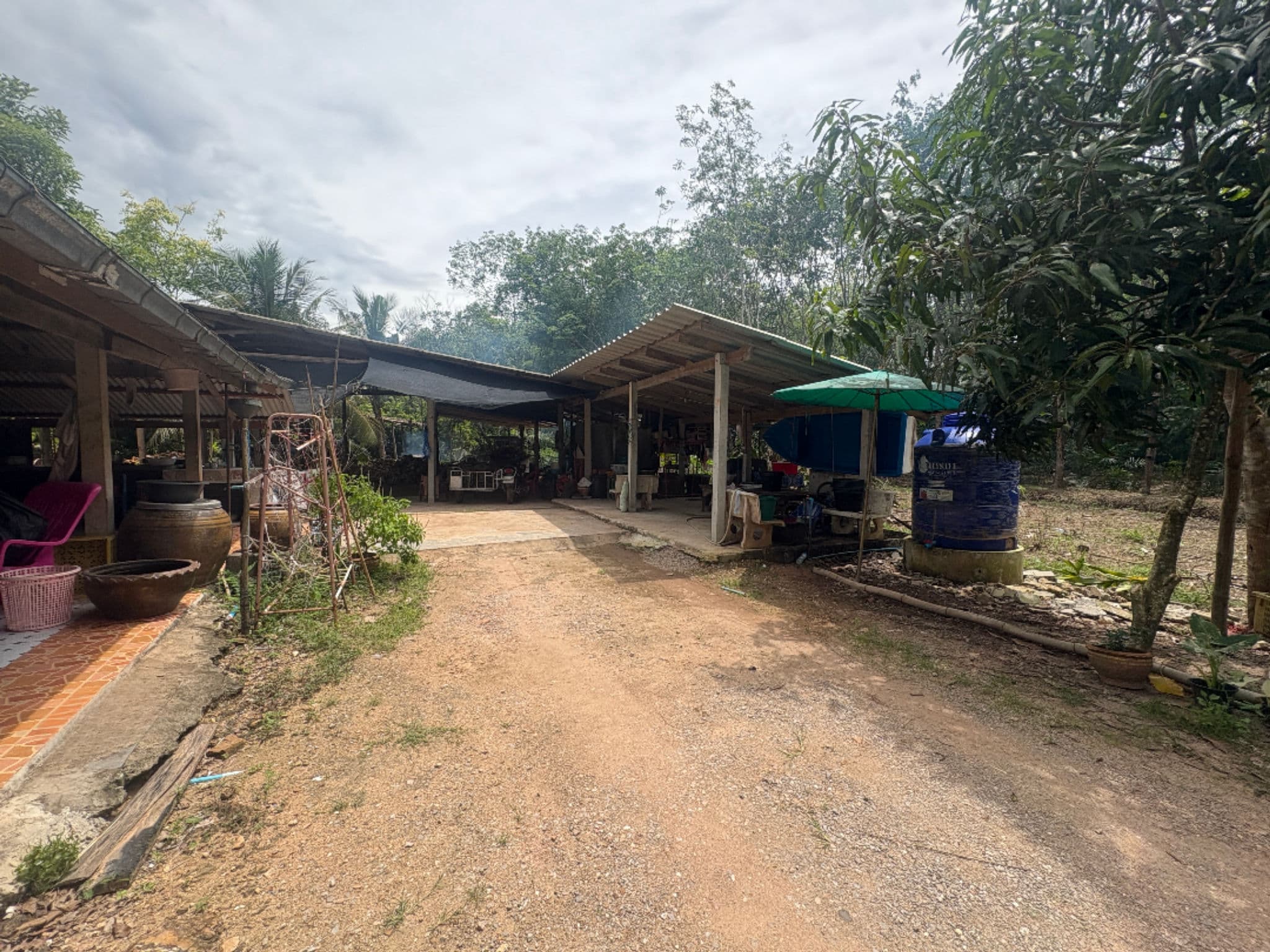 8bbc0764-150035-0 (1).jpg
