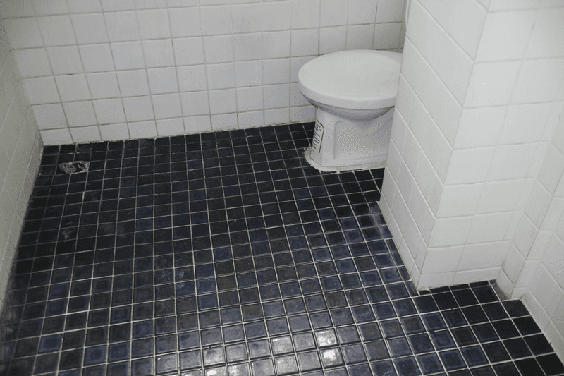 image (15).png