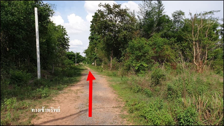 เข้า3.jpg