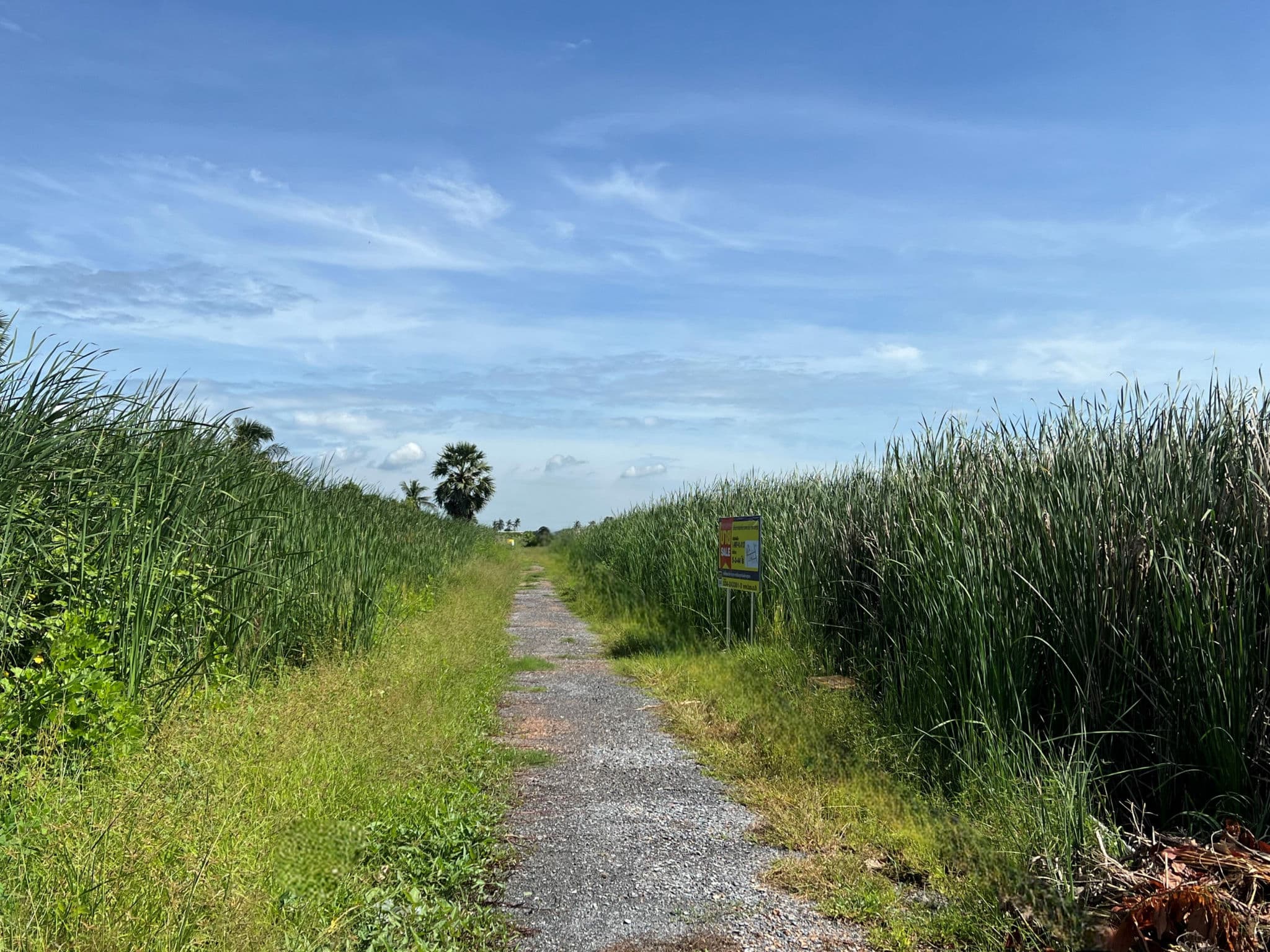 b827ef08-30829-0.jpg
