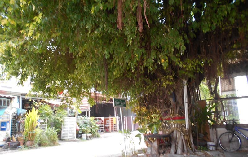 5+DSCN3914.JPG