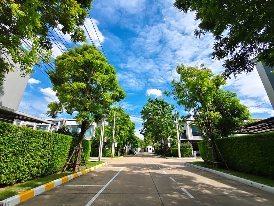 ฉ106312 (10).jpg