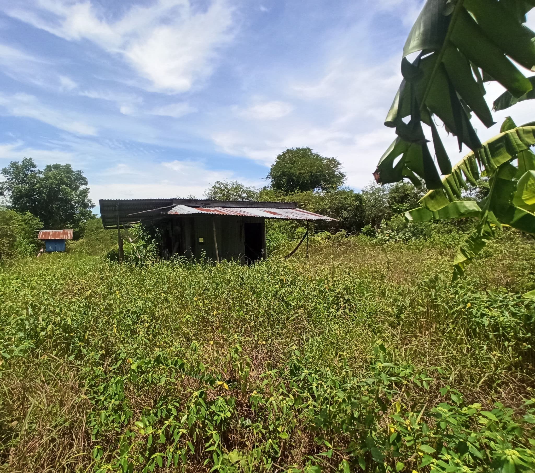 9dd3edd9-143935-0.jpg