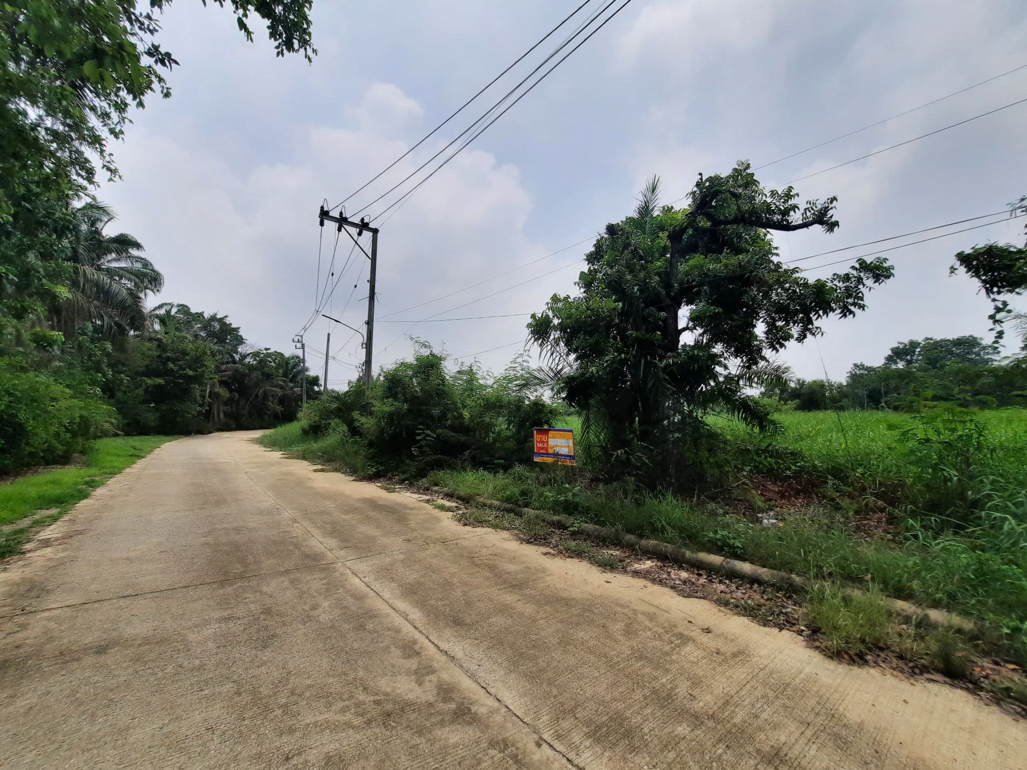 7268ac9b-47519-4.jpg