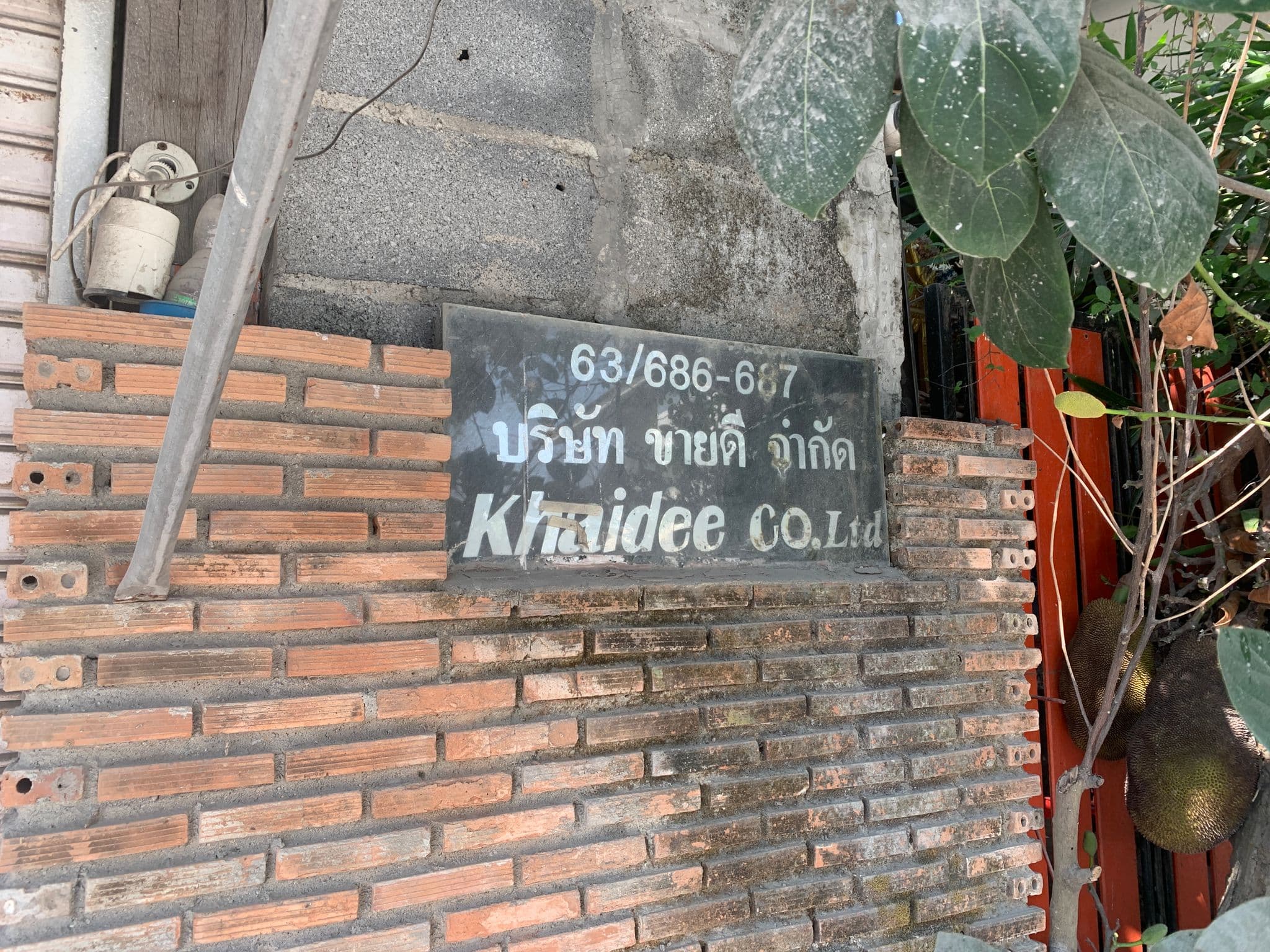 ฉ (15).jpg