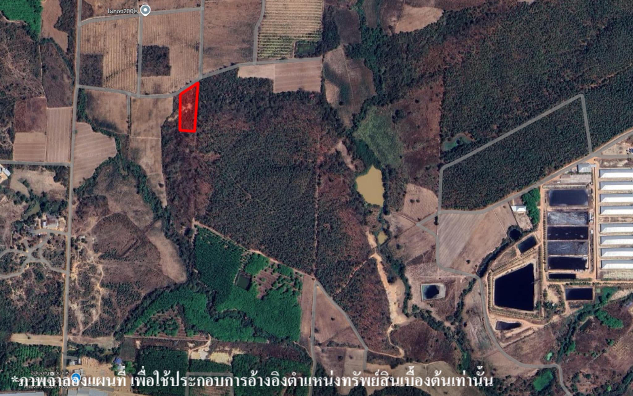 image (16).png