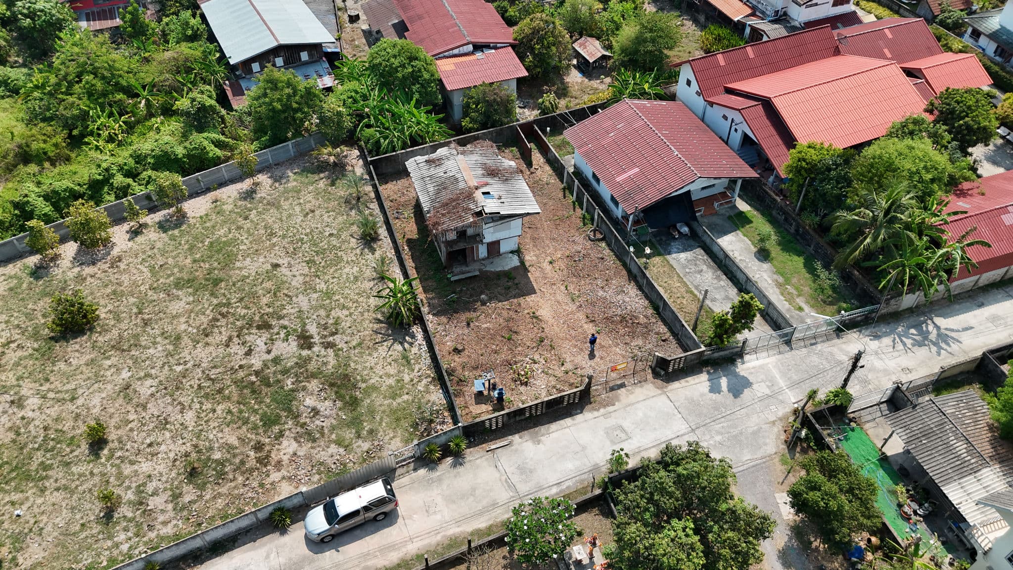 DJI_20260312104742_0219_D.JPG