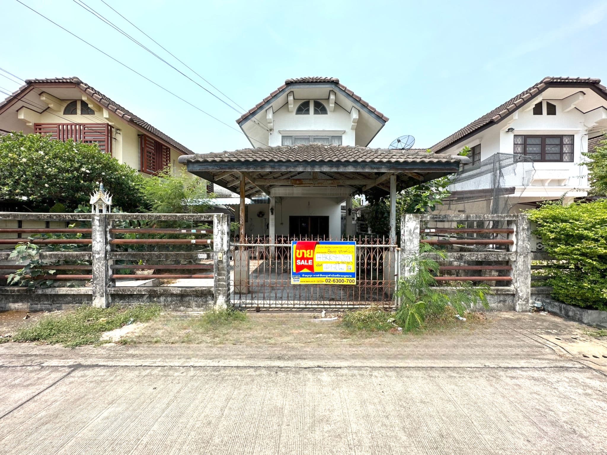 image (12).png